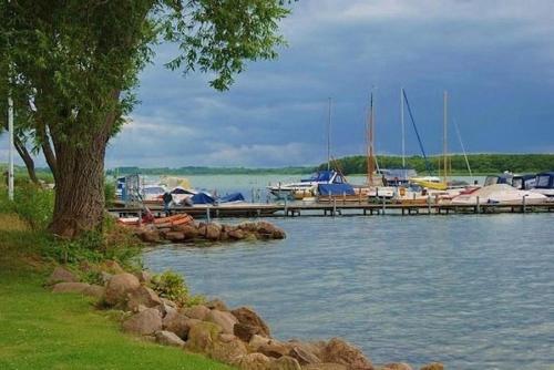 Ferienhaus Seeperle 11 mit Ruderboot - ABC211 in Hohen Viecheln