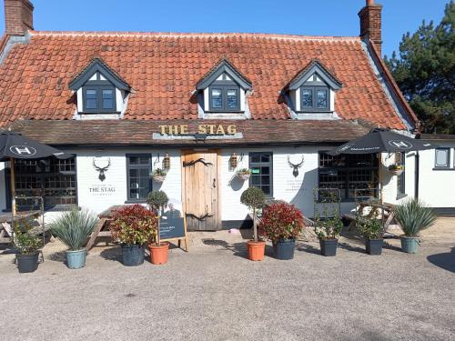 The Stag in Salhouse