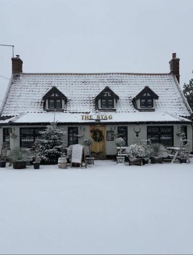 The Stag in Salhouse