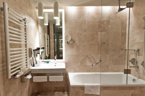 Golden Tulip Ana Dome Hotel - image 7