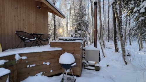 Paunküla Nature Resort (forest villa) (Paunkula Nature Resort (forest villa)) in Kiruvere