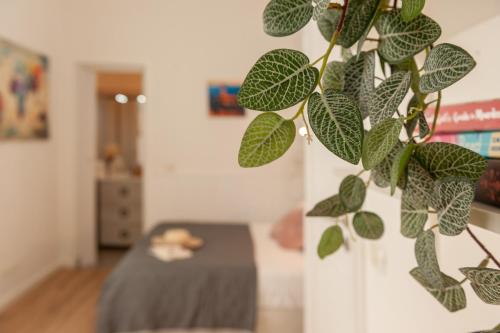 Vittoria - Flo Apartments - image 12