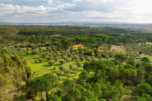 Quinta Ivonne gîte à louer Outil