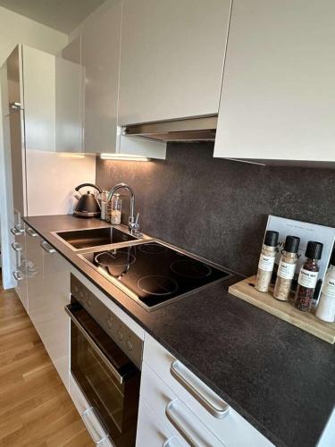 Microflat - Location saisonnière - Linz