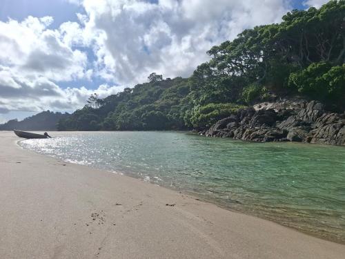 Ponga House - Kaitoke Waters in Great Barrier Island