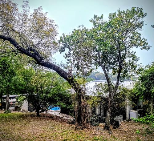 Loft de montaña