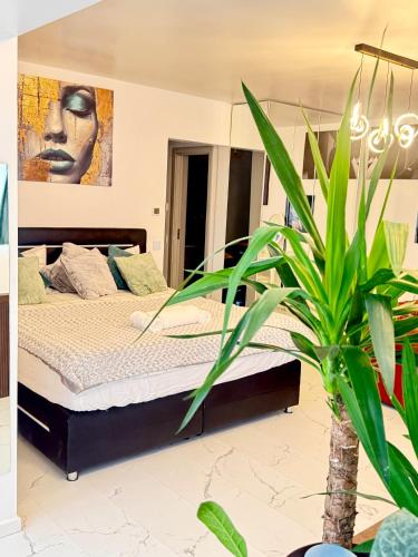 InspireNest Iulius Mall – khách sạn tại Intre Lacuri