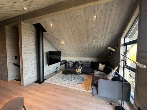Koplietošanas atpūtas telpa ar TV, Modern cabin in Rauland with Panorama view in Torvetjorn