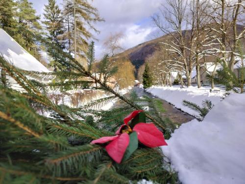 Apkārtne, Ubytovanie na Hasičskej ulici (Ubytovanie na Hasicskej ulici) in Hubova