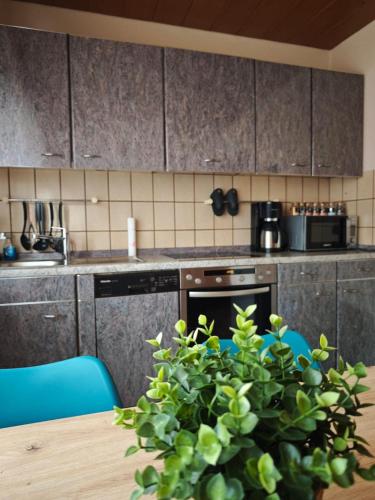 Ferienhaus Linnich für max 10 Personen und 2 Hunde mit Bauernhof Feeling (Ferienhaus Linnich fur max 10 Personen und 2 Hunde mit Bauernhof Feeling) in Linnich