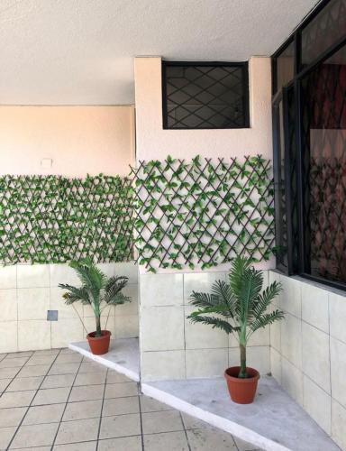 Hostal La Estación Quito - image 3