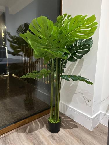 London 1 bed Luxe flat Ilford Beautiful 