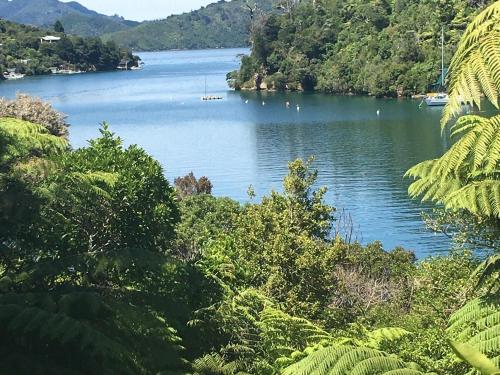 Portobello Bach Double Cove in Lochmara Bay