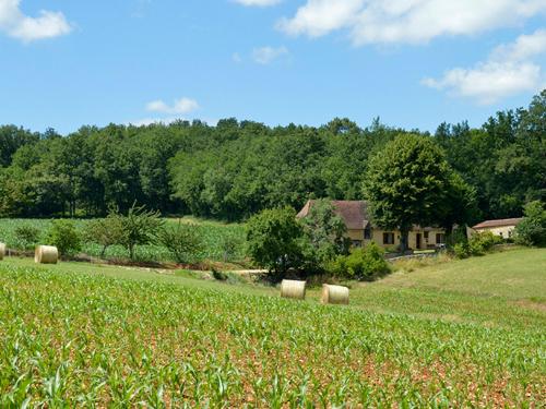 Charmante maison nature avec parking et animaux acceptés - FR-1-616-459 gîte à louer Pézuls