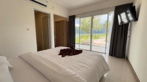 Lushy Kintamani in 金塔瑪尼