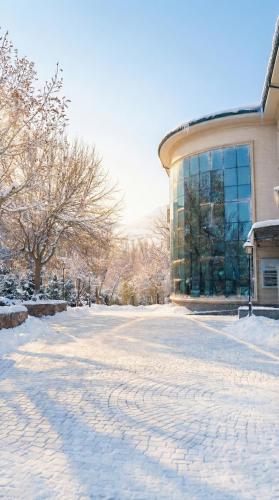 Garden, Wellmore Resort in Yusufkhona