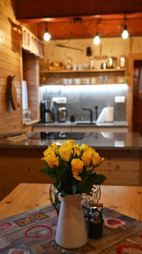 廚房, Chata Sauna Sosna in 上魯日巴希