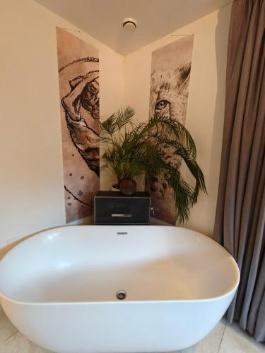 Létesítmények, Huize Triangel - Wellness studio met sauna in Weststellingwerf