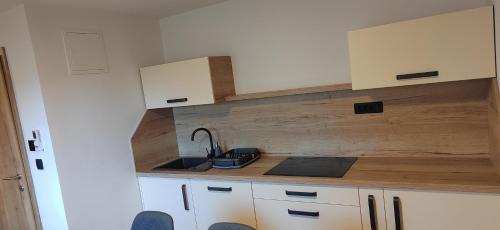 スロヴェニ・グラデツ MaxLux Apartments 3つ星 ゲストハウス 施設