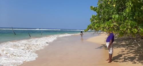 Ceylon Sungarden - image 5