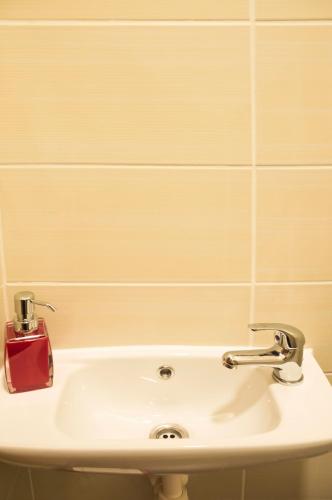 Apartment Za Poricskou branou - image 3