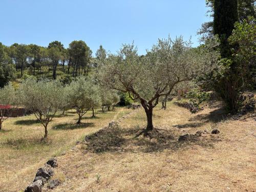 花園, Charming house in the heart of the green Provence in 高咸斯