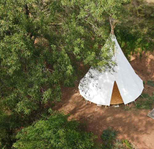 Les Cabânes-Tipi Paco en pleine nature gîte à louer Carlencas-et-Levas