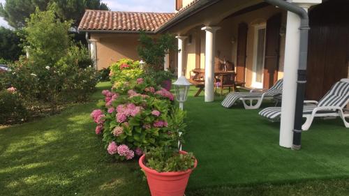 Le paradis de la Provence