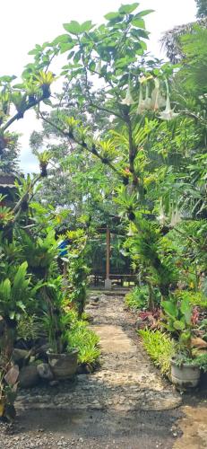 Hadi Homestay Garden View in Licin