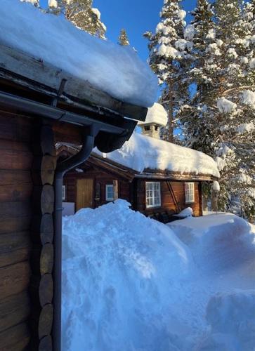 外部景觀, Cabin In Rauland Near Fishing, Hiking And Skiing in 勞蘭