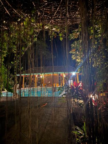 Baan Rim Tarn B&B - Surat Thani Baan Rim Tarn B&B - Surat Thani