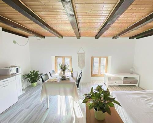 Le Studio du Rhône
