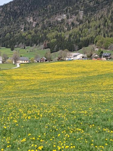 Gite de la cascade gîte à louer La Perrinière