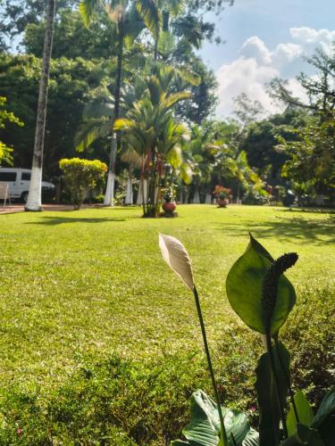 Hotel Pueblito Cafetero – Pereira, KS