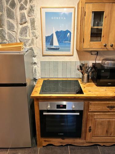 Chalet - video projecteur et terrasse - proche ski in Saint-Jeoire