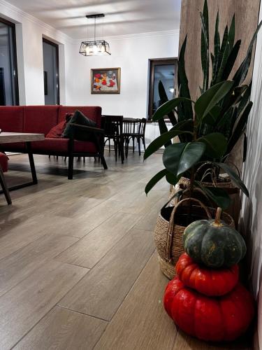 Green Agarak Guest House near Dendropark, Stepanavan in Gargar