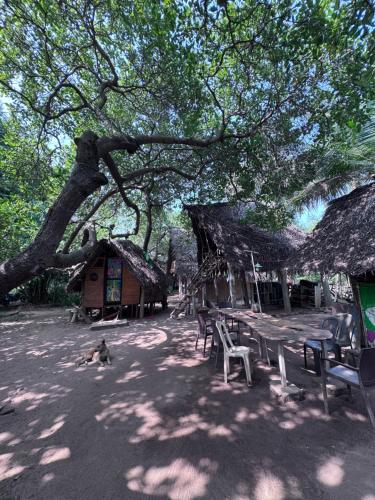 Peace Garden Inn - Chennai