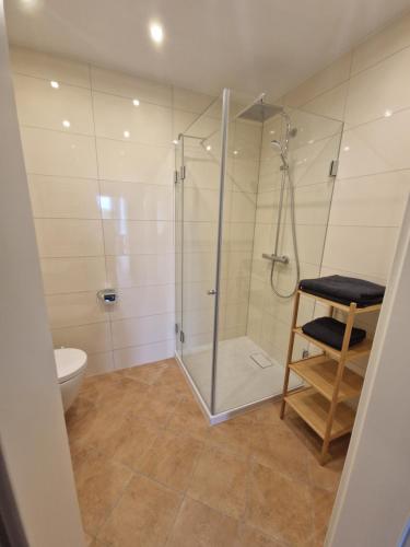Shower, Ferienwohnung Elektra in Marquartstein