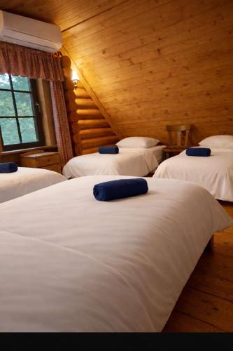 Guest House Jugland with Private Sauna Hot Tub and River Access Near Riga in Tīnūži