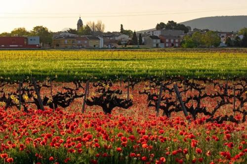 Ca l'Agüela -Fontanars dels Alforins (Ca l'Aguela -Fontanars dels Alforins) in Moixent