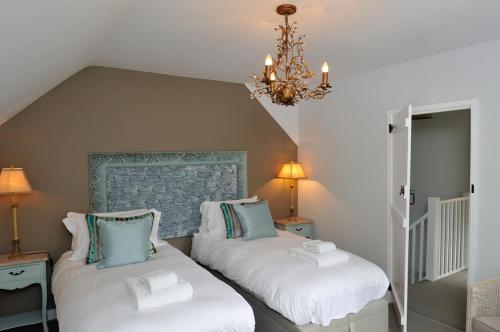 The Dog At Wingham The Dog At Wingham