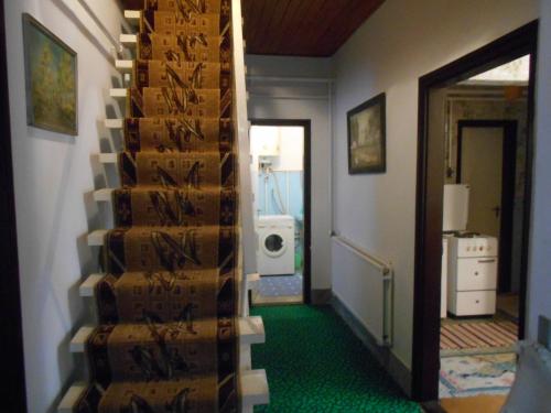 設施, Abacsko Haz in 阿巴德薩洛克