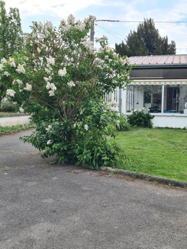 Chez Sylvie in Erondelle
