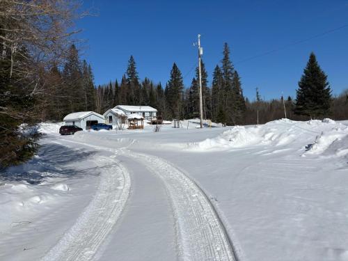 Peaceful and Heavenly Private Water Front Cottage on 100 Acres of Scenic Beauty- Trent Lakes