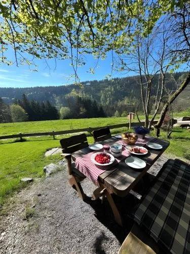 Ferienhaus Bruno - Südhanglage mit 2 Schlafzimmern in Feldberg Schwarzwald, Deutschland