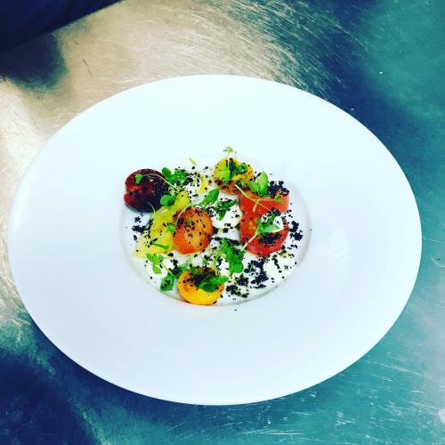 The Dog At Wingham The Dog At Wingham