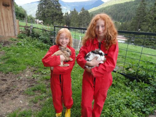 Haus Hochzeigerblick - image 12