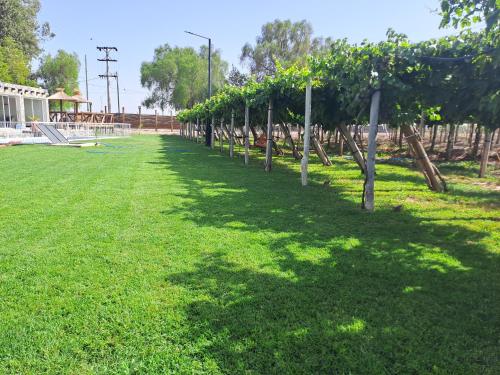 Complejo bodega la Ejemplar