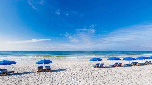 Phoenix East 307 in Orange Beach (AL)