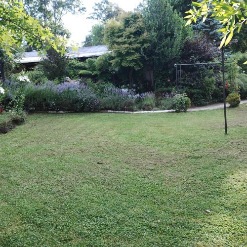 Cabaña Petalos Villarrica bungalows 3 personas